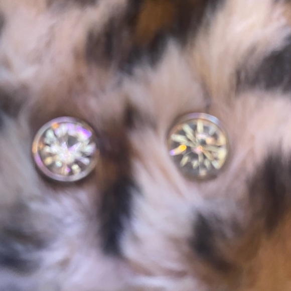 Guess earnings - Picture 8 of 8